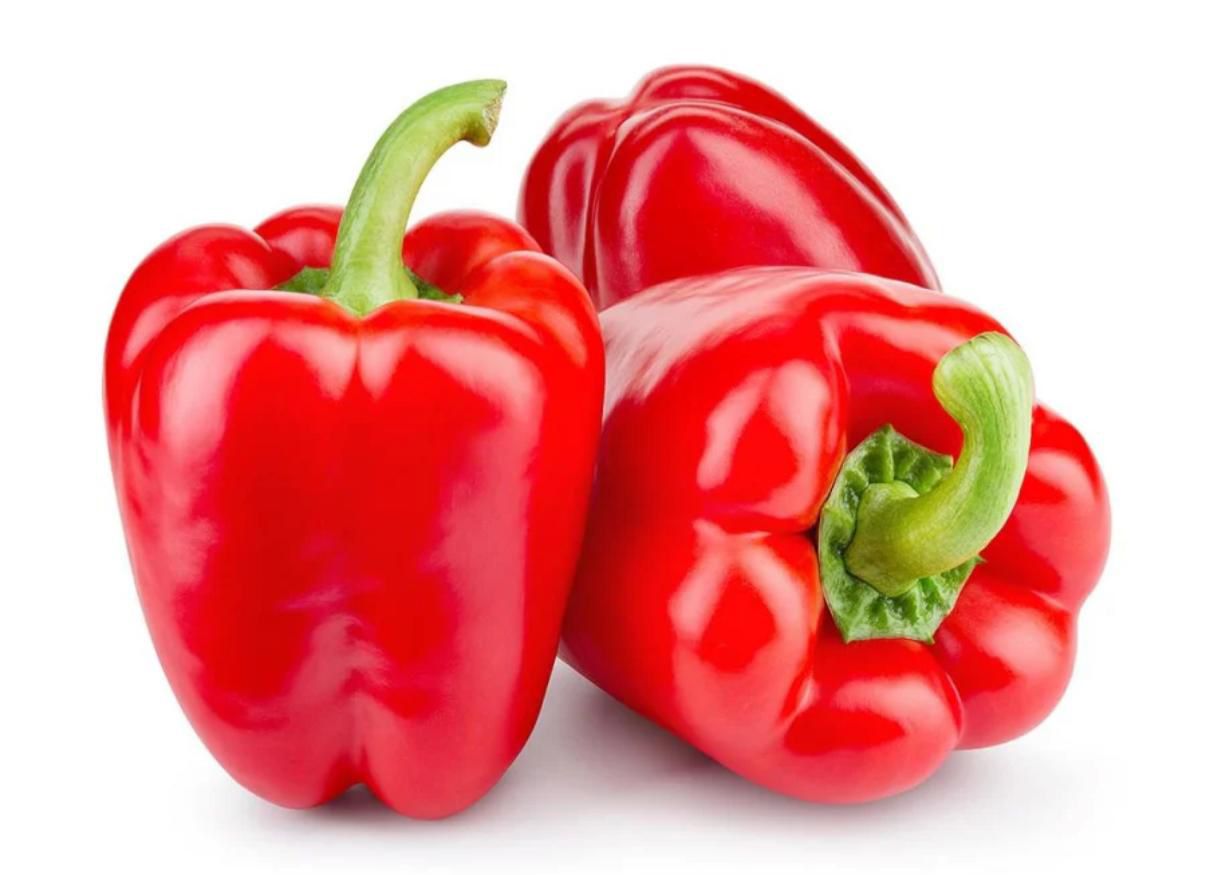 WhatsApp Image 2025-08-05 at 12.39.11_e86f4099